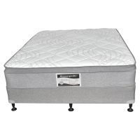 Medium Soft Ensemble