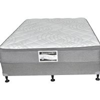 Spinal Zone With Latex Medium Firm Ensemble