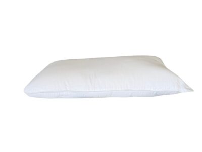 Standard Pillow