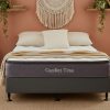 Simply Beds | Comfort Time - Budget Medium Soft Pillow Top Ensemble