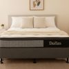 Simply Beds | Dallas - Pocket Coil Latex Ensemble