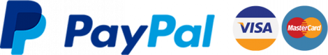 paypal-logo-img