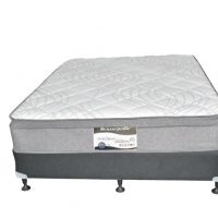 Pocket Supreme Ensemble